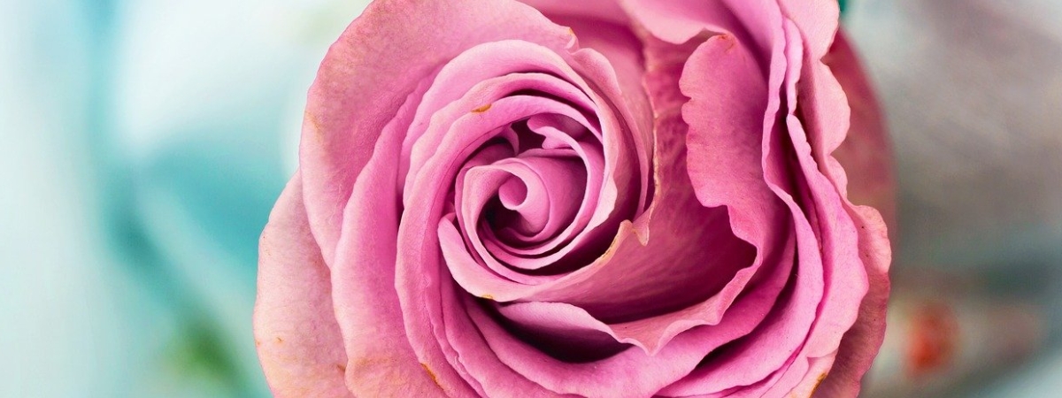Labiaplasty Prices in Dubai